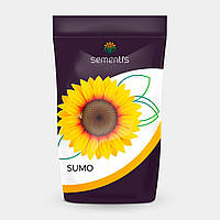 Насіння соняшнику Superius (Суперіус) Сементіс Під Гранстар