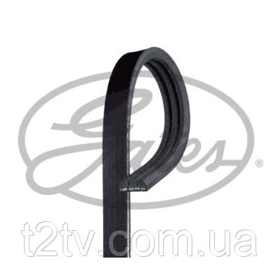 Поліклиновий ремінь Gates 3PK495