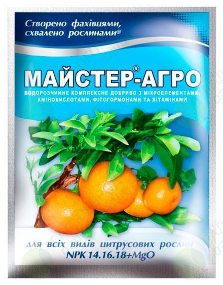 Мінеральне добриво Майстер Старт 13+40+13 Valagro 20 г