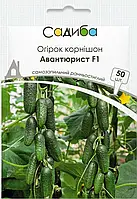 Огірок Авантюрист F1 50шт Садиба центр