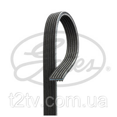 Поліклиновий ремінь Gates 6DPK2215
