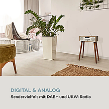 Уцінка Музичний центр Auna Silver Star CD-DAB, Німеччина, фото 5