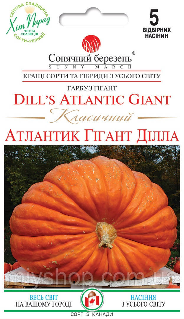 Гарбуз Атлантік Класична 5 шт Сонячний березень, фото 1