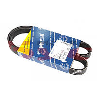 Ремень генератора Audi A6 08- (5PK950)