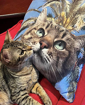 Подушка Степан на відпочинку 40*40 см