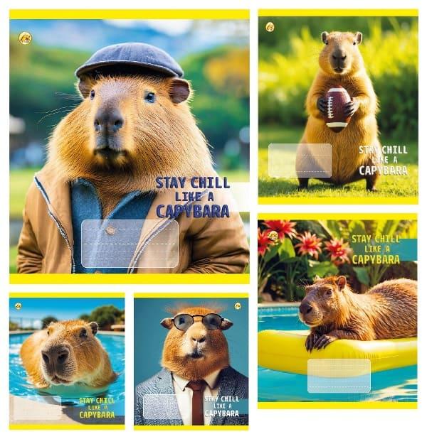 Зошит 18арк. кліт. /ТВ/"CAPYBARA" NoТА51207(20)(400)