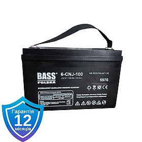 Акумулятор для ДБЖ Bass Polska 5976 VRLA AGM 12V 130Ah