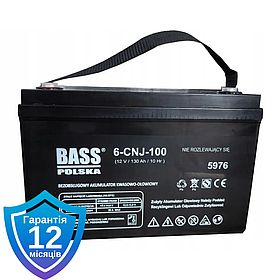 Акумулятор для ДБЖ Bass Polska 5975 VRLA AGM 12V 100Ah