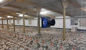 Обігрів пташника