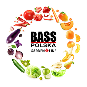 Садова плівка для теплиці 10 м2 (4 х 2,5 х 2 м) BASS POLSKA, UV-12, Прозора, фото 4