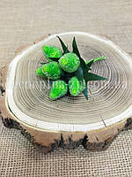 Малина в цукрі (6шт). Салатова