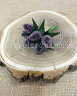 Малина в цукрі (6шт). Бордова