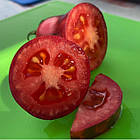 Томат Сливка Гурман (високорослий) 20 шт, фото 2