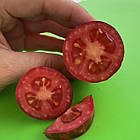 Томат Сливка Гурман (високорослий) 20 шт, фото 3