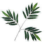 Штучна гілка мандаринського дерева Латекс 60 см, фото 2