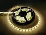 Світлодіодна стрічка SL (12 V) 10 м теплий білий 10m-WW, фото 2