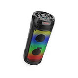 Переносна акустична система SURFACE ZQS6210W (6,5"x2) (15Wx2) (Дротовий мікрофон) (4500mAh) (Пульт), фото 7