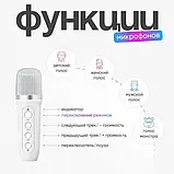 Нічник-лампа з бездротовою Bluetooth колонкою Lightshow з одним мікрофоном YS-110, фото 2