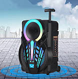 Переносна акустична система MEGAFOX GZ-P12 (12") (30 W) (бездротовий Мікрофон + пульт) 2400 mAh, фото 4