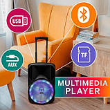 Переносна акустична система MEGAFOX MD19-12L (12"x1) (40 W) (бездротовий мікрофон) (Пульт), фото 2