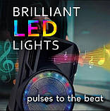 Переносна акустична система MEGAFOX MD19-12L (12"x1) (40 W) (бездротовий мікрофон) (Пульт), фото 4