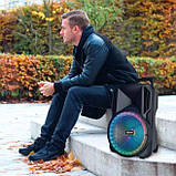 Переносна акустична система MEGAFOX MD19-12L (12"x1) (40 W) (бездротовий мікрофон) (Пульт), фото 5