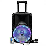 Переносна акустична система MEGAFOX MD19-12L (12"x1) (40 W) (бездротовий мікрофон) (Пульт), фото 8