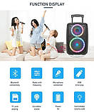 Переносна акустична система SURFACE NDR-2680 (8"+6.5") (10 W) (Провідний Мікрофон + пульт) 2400mAh, фото 4