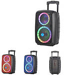 Переносна акустична система SURFACE NDR-2680 (8"+6.5") (10 W) (Провідний Мікрофон + пульт) 2400mAh, фото 6