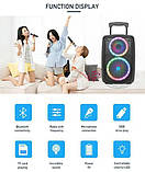 Переносна акустична система SURFACE NDR-612 (12"x1) (30 W) (Бесдротовий Мікрофон + пульт) 2400mAh, фото 10