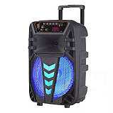 Переносна акустична система SURFACE NDR-W1012 (12"x1) (40 W) (бездротовий Мікрофон + пульт) 2400 mAh, фото 6