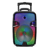 Переносна акустична система MEGAFOX OTY-809 (8"x1) (10 W) (бездротовий Мікрофон + пульт) 2400 mAh, фото 2