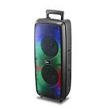 Переносна акустична система SURFACE RX-6258 (6.5"х2) (20 W) (Дротовий мікрофон) (2400mAh) (Пульт), фото 3