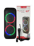 Переносна акустична система SURFACE RX-6268B (6.5"х2) (10 W) (Дротовий мікрофон) (2400mAh) (Пульт), фото 3