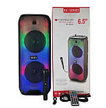 Переносна акустична система RX-6268 (6.5"х2) 10 Вт з дротовим мікрофоном та пультом 2400mAh, фото 3