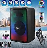 Портативна акустична система з караоке мікрофоном і пультом RX-8150 (8"x1) 10 Вт, фото 2