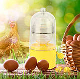 Шейкер для яєчного жовтка Скремблер EGG YOLK Центрифуга для змішування білка з жовтком, фото 5