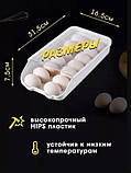 Контейнер полиця лоток підставка для яєць EGG TRAY LY-382 Підставка для яєць Органайзер для яєць універсальний, фото 8