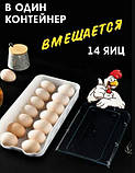 Контейнер полиця лоток підставка для яєць EGG TRAY LY-382 Підставка для яєць Органайзер для яєць універсальний, фото 10