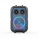 Переносна музична колонка з дротовим мікрофоном ZQS-8120, фото 2