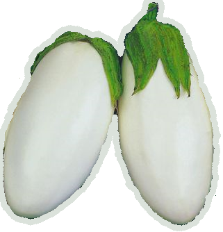 Насіння баклажан Айсберг 0,25г