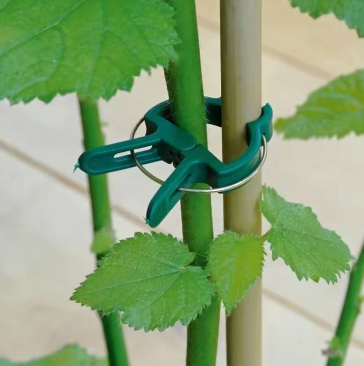 Кліпси садові маленькі для підв'язки та фіксації рослин, для томатів 4х3см 20шт 29301, фото 1