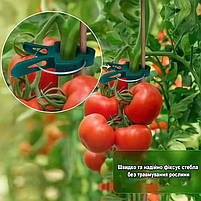 Кліпси садові маленькі для підв'язки та фіксації рослин, для томатів 4х3см 20шт 29301, фото 4