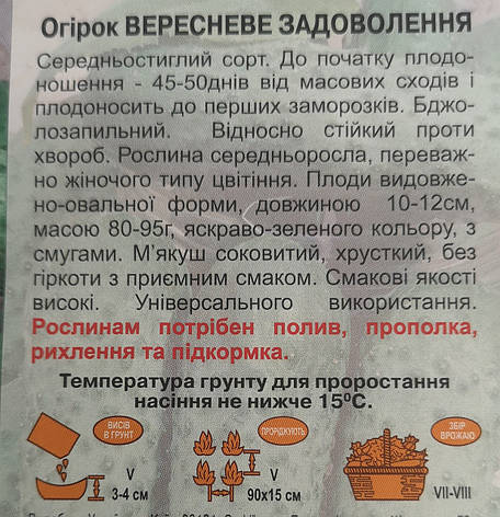 Огірок Вересневе задоволення 1г, фото 3