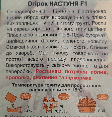 Огірок Настуня й0шт, фото 3