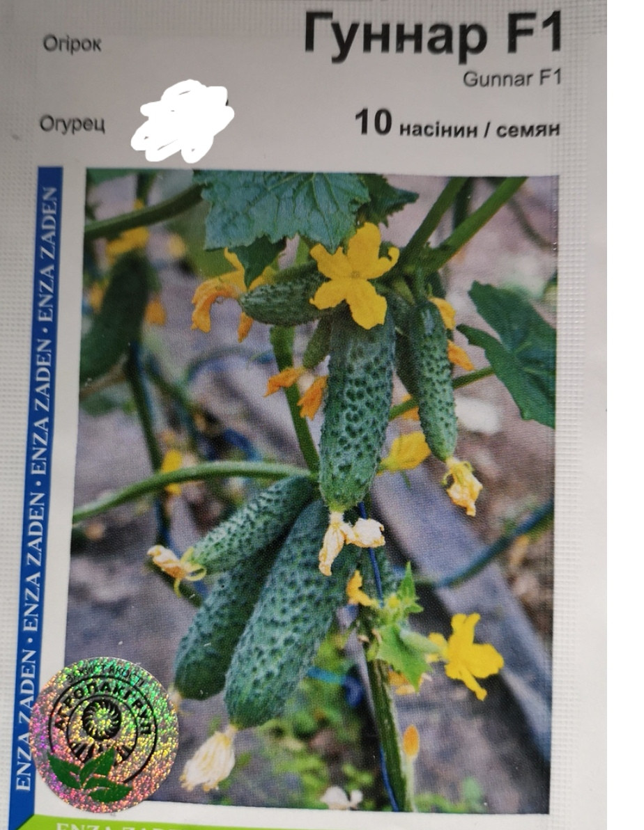 Огірок Гунар F1 10 нас.