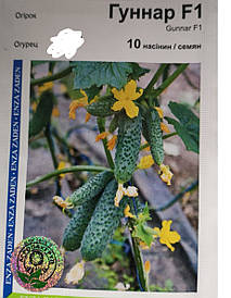 Огірок Гунар F1 10 нас.