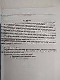 Книга Відображення Божевільного Місяця. Безодня тіней. Deviant Moon Tarot. Зобова Ю. ( Book ), фото 7
