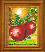 Схема для вышивки бисером на художественном холсте МА-002: Ароматные яблоки