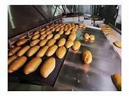 Транспортерна стрічка Habasit для виробництва хлібобулочних виробів